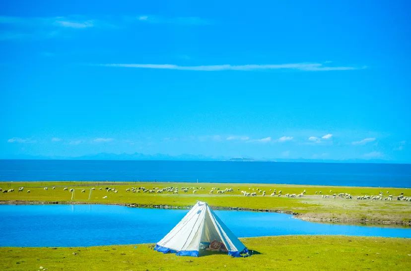 5 verschiedene Campingarten – welche bevorzugen Sie?