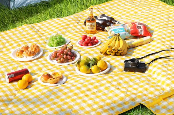 Arten und Anwendungen von Picknickmatten für den Außenbereich