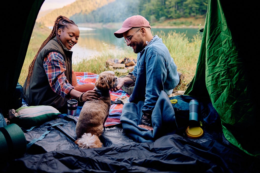 Camping mit Ihrem Haustier: Ein vollständiger Leitfaden