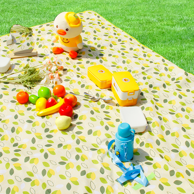 Mehrfarbige Camping-Picknickmatte - Wasserdichte Picknickdecke für den Außenbereich